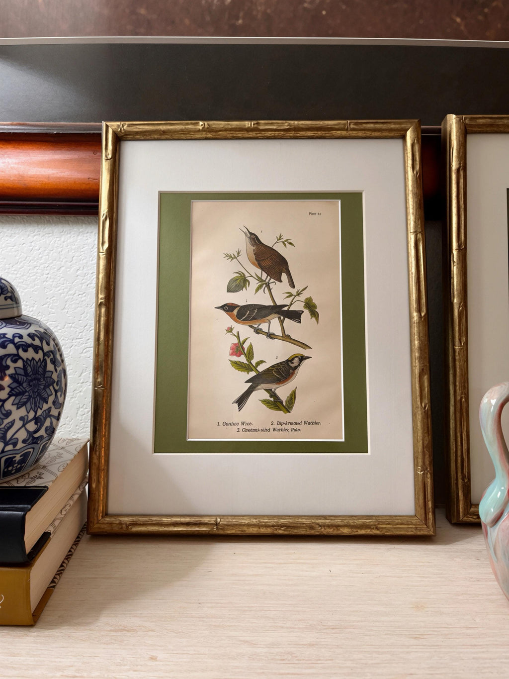 B.H. Warren Birds of Pennsylvania Chromolithographs | Set of 3 Bird Prints (11x14 Frames)