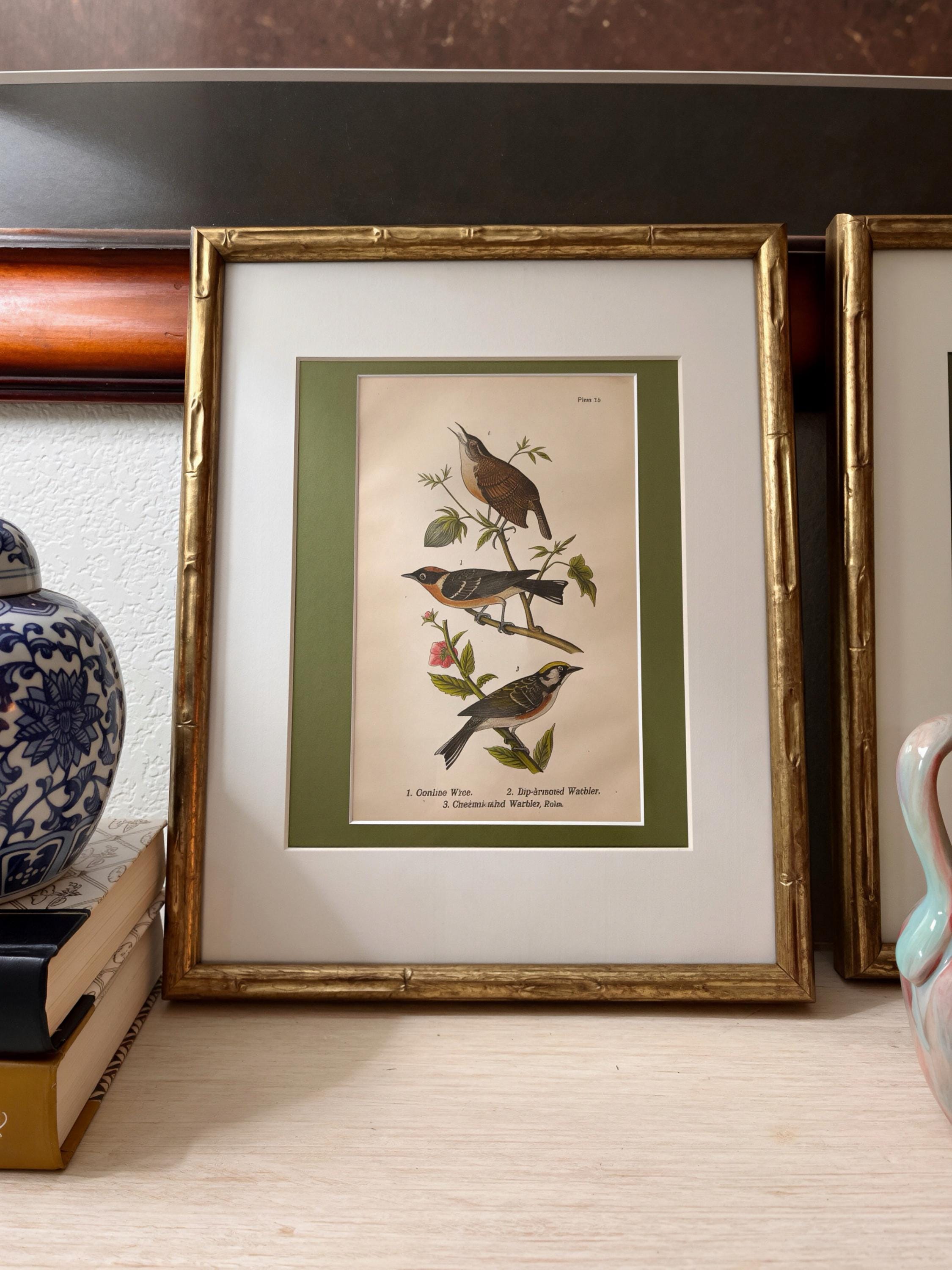 B.H. Warren Birds of Pennsylvania Chromolithographs | Set of 3 Bird Prints (11x14 Frames)