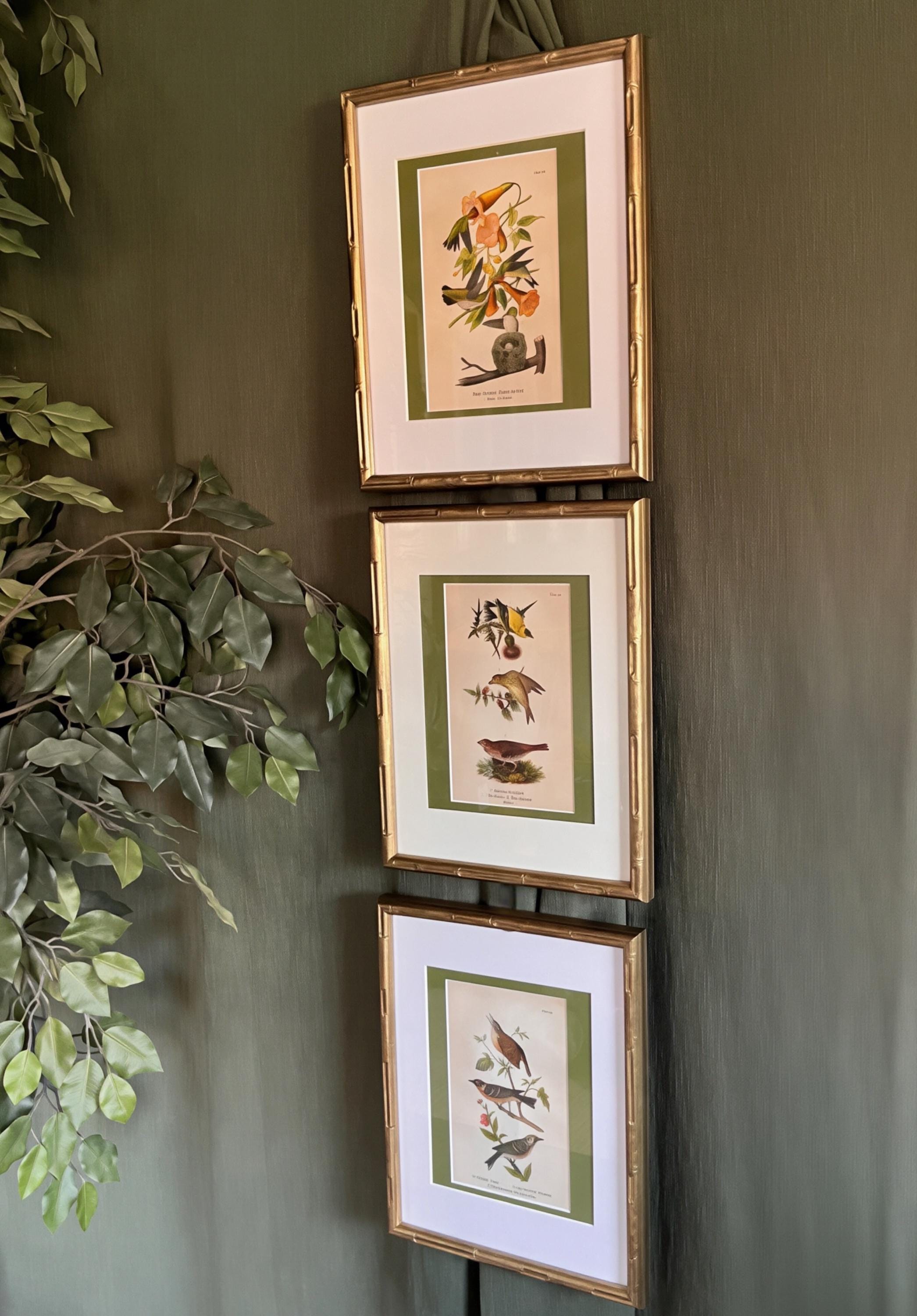 B.H. Warren Birds of Pennsylvania Chromolithographs | Set of 3 Bird Prints (11x14 Frames)