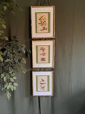 B.H. Warren Birds of Pennsylvania Chromolithographs | Set of 3 Bird Prints (11x14 Frames)