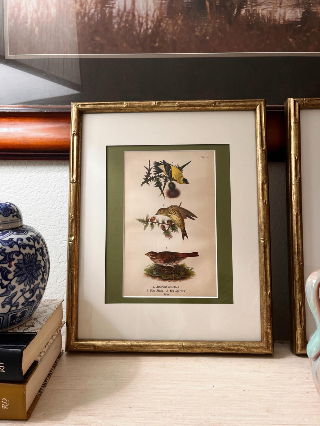 B.H. Warren Birds of Pennsylvania Chromolithographs | Set of 3 Bird Prints (11x14 Frames)